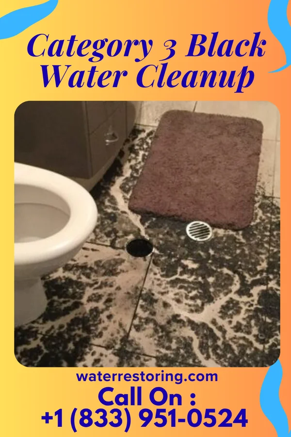 Category 3 Black Water Cleanup in Larksville, PA