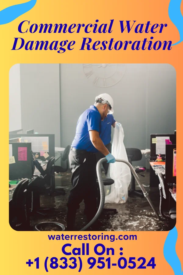 Commercial Water Damage Restoration in Larksville, PA