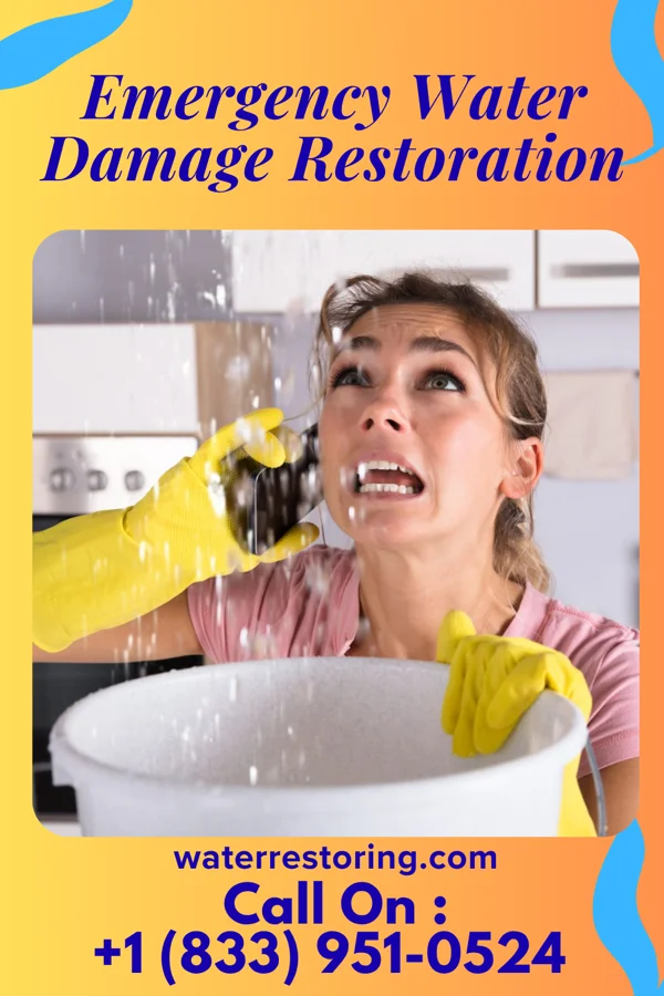 Emergency Water Damage Restoration in Larksville, PA