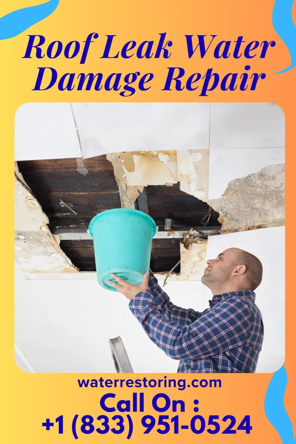 Roof Leak Water Damage Repair in Larksville, PA