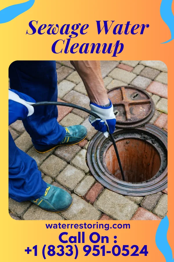 Sewage Water Cleanup in Larksville, PA
